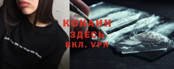 соль ск Алексин