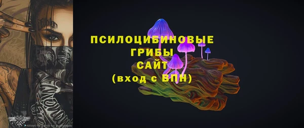 соль ск Алексин