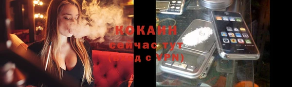 соль ск Алексин
