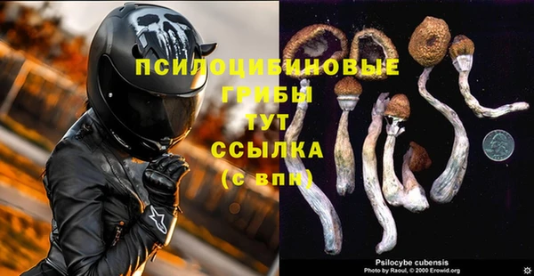 соль ск Алексин
